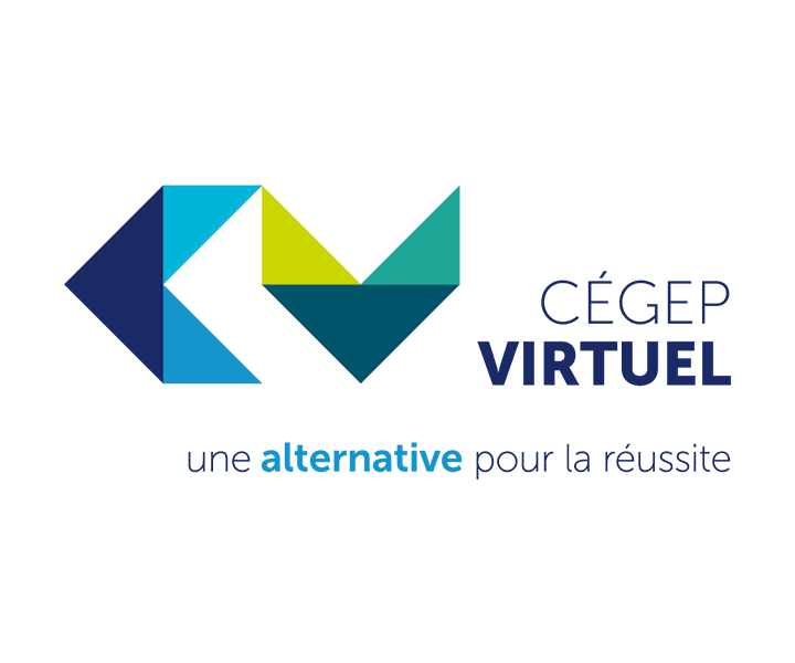 L'Unité virtuelle de soins : Former les personnes étudiantes des cégeps et des universités à l'aide de captations vidéo